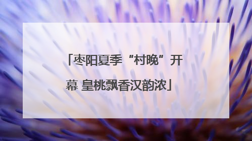枣阳夏季“村晚”开幕 皇桃飘香汉韵浓