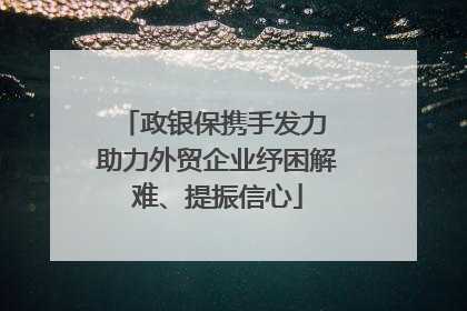 政银保携手发力 助力外贸企业纾困解难、提振信心