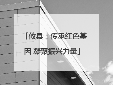 攸县：传承红色基因 凝聚振兴力量