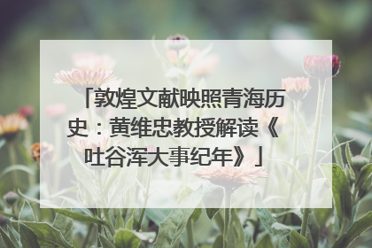 敦煌文献映照青海历史：黄维忠教授解读《吐谷浑大事纪年》