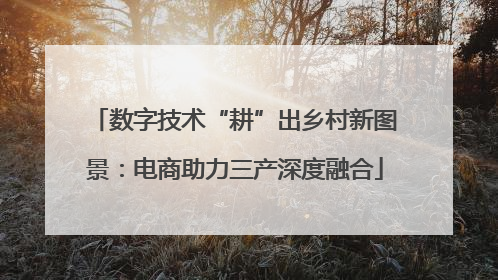 数字技术“耕”出乡村新图景：电商助力三产深度融合