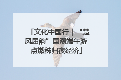 文化中国行|“楚风屈韵”国潮端午游点燃秭归夜经济