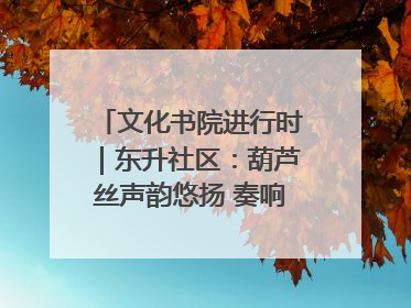 文化书院进行时｜东升社区：葫芦丝声韵悠扬 奏响文化和谐曲