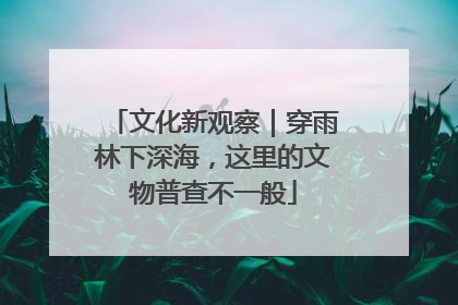 文化新观察｜穿雨林下深海，这里的文物普查不一般