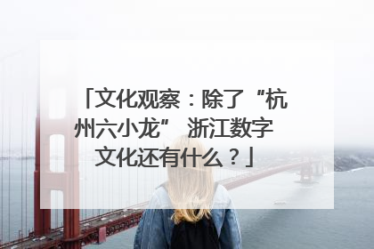 文化观察：除了“杭州六小龙” 浙江数字文化还有什么？