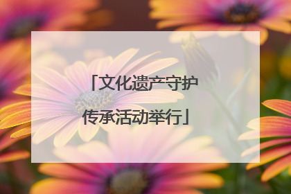 文化遗产守护传承活动举行