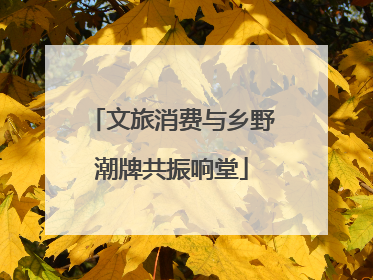 文旅消费与乡野潮牌共振响堂