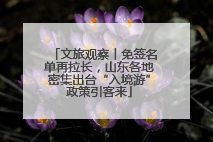 文旅观察丨免签名单再拉长，山东各地密集出台“入境游”政策引客来