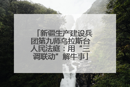 新疆生产建设兵团第九师乌拉斯台人民法庭：用“三调联动”解牛事