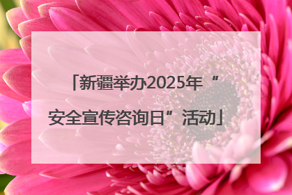 新疆举办2025年“安全宣传咨询日”活动