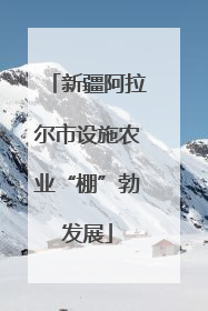新疆阿拉尔市设施农业“棚”勃发展