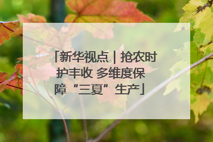 新华视点｜抢农时 护丰收 多维度保障“三夏”生产