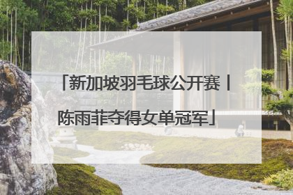 新加坡羽毛球公开赛丨陈雨菲夺得女单冠军