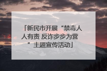 新民市开展“禁毒人人有责 反诈步步为营”主题宣传活动