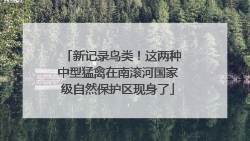 新记录鸟类！这两种中型猛禽在南滚河国家级自然保护区现身了