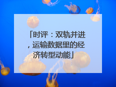 时评：双轨并进，运输数据里的经济转型动能