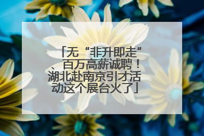 无“非升即走”、百万高薪诚聘！湖北赴南京引才活动这个展台火了