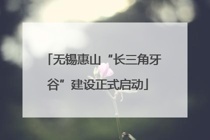 无锡惠山“长三角牙谷”建设正式启动