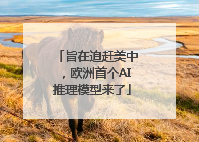 旨在追赶美中，欧洲首个AI推理模型来了