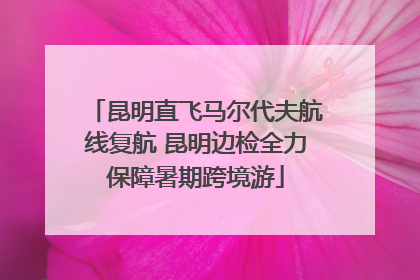 昆明直飞马尔代夫航线复航 昆明边检全力保障暑期跨境游