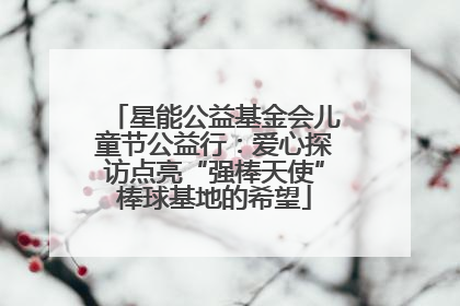 星能公益基金会儿童节公益行：爱心探访点亮“强棒天使”棒球基地的希望