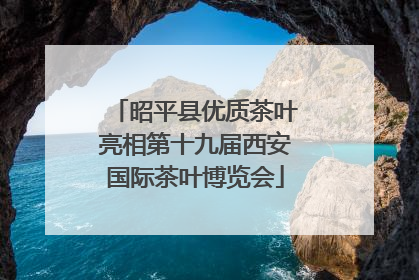 昭平县优质茶叶亮相第十九届西安国际茶叶博览会