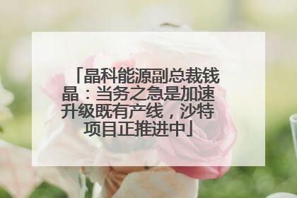 晶科能源副总裁钱晶：当务之急是加速升级既有产线，沙特项目正推进中