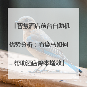 智慧酒店前台自助机优势分析：看鹿马如何帮助酒店降本增效
