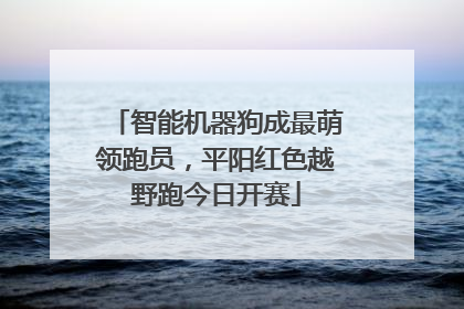 智能机器狗成最萌领跑员，平阳红色越野跑今日开赛