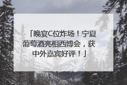 晚宴C位炸场！宁夏葡萄酒亮相西博会，获中外嘉宾好评！