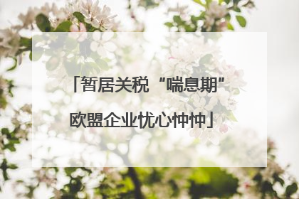 暂居关税“喘息期” 欧盟企业忧心忡忡