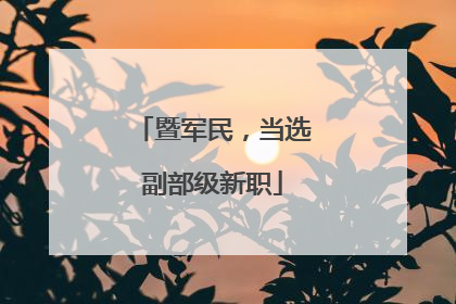 暨军民，当选副部级新职