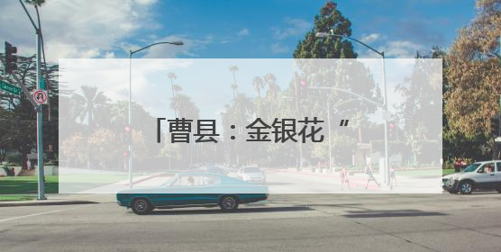 曹县：金银花“三产融合”托起乡村振兴致富梦