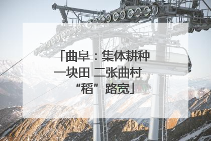 曲阜：集体耕种一块田 二张曲村“稻”路宽