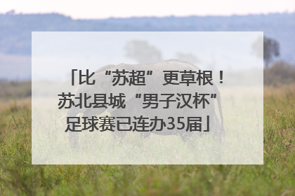 比“苏超”更草根！苏北县城“男子汉杯”足球赛已连办35届
