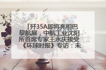 歼35A即将亮相巴黎航展，中航工业沈阳所首席专家王永庆接受《环球时报》专访：未来数量可以有很多