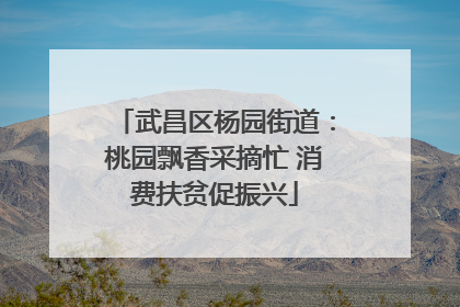 武昌区杨园街道：桃园飘香采摘忙 消费扶贫促振兴