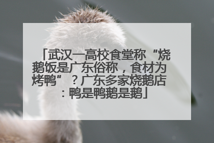 武汉一高校食堂称“烧鹅饭是广东俗称，食材为烤鸭”？广东多家烧鹅店：鸭是鸭鹅是鹅