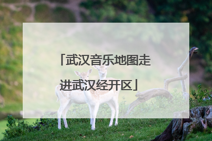 武汉音乐地图走进武汉经开区