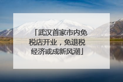 武汉首家市内免税店开业，免退税经济或成新风潮