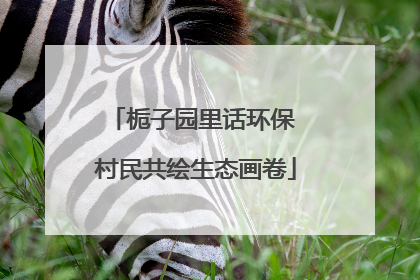 栀子园里话环保 村民共绘生态画卷