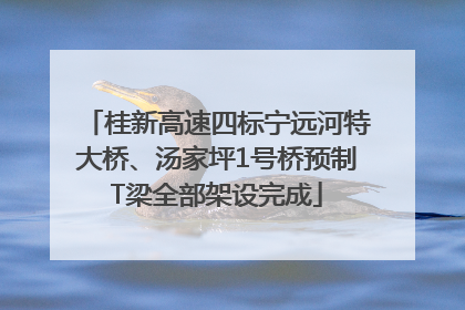 桂新高速四标宁远河特大桥、汤家坪1号桥预制T梁全部架设完成