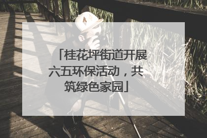 桂花坪街道开展六五环保活动，共筑绿色家园