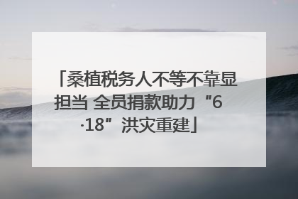 桑植税务人不等不靠显担当 全员捐款助力“6·18”洪灾重建
