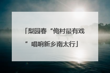 梨园春“俺村最有戏”唱响新乡南太行
