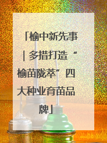榆中新先事｜多措打造“榆苗陇萃”四大种业育苗品牌