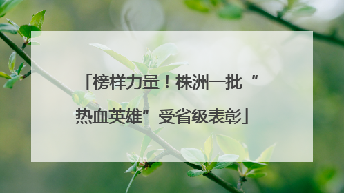榜样力量！株洲一批“热血英雄”受省级表彰