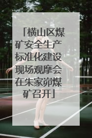 横山区煤矿安全生产标准化建设现场观摩会在朱家峁煤矿召开