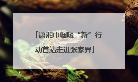 潇湘巾帼暖“新”行动首站走进张家界