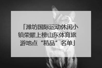 潍坊国际运动休闲小镇荣耀上榜山东体育旅游地点“精品”名单